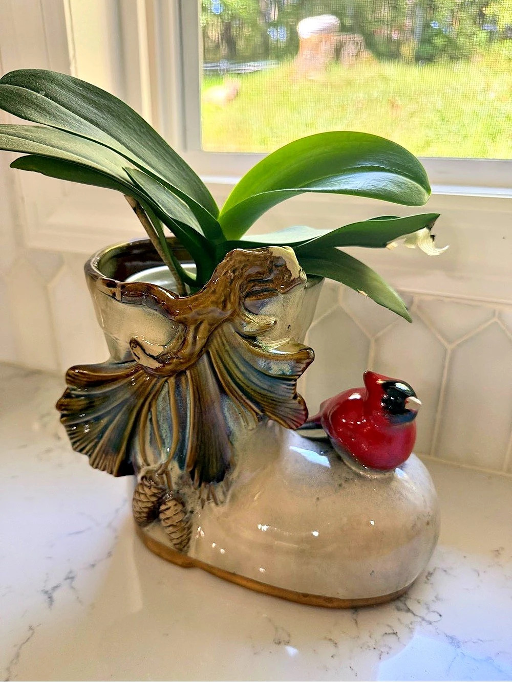 Seasonal Ceramic Bird Pitcher Decor Cream & Red